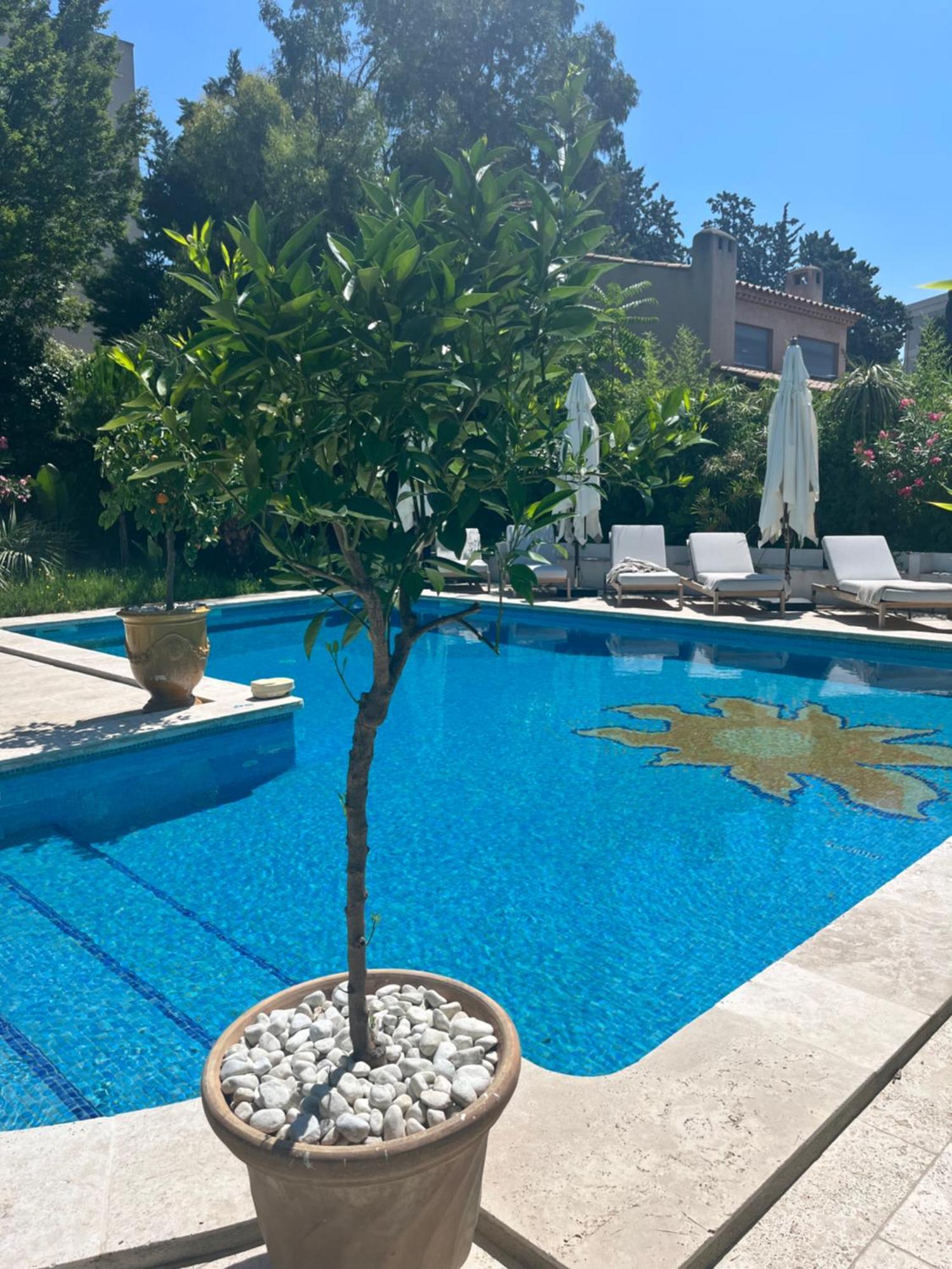 Le Mas Angelussi - Le Clos Du Soleil Salon-de-Provence Bagian luar foto